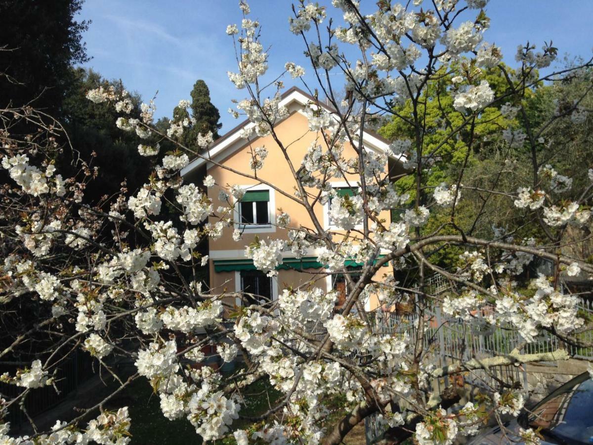 La Rosa Segreta 3* Genua